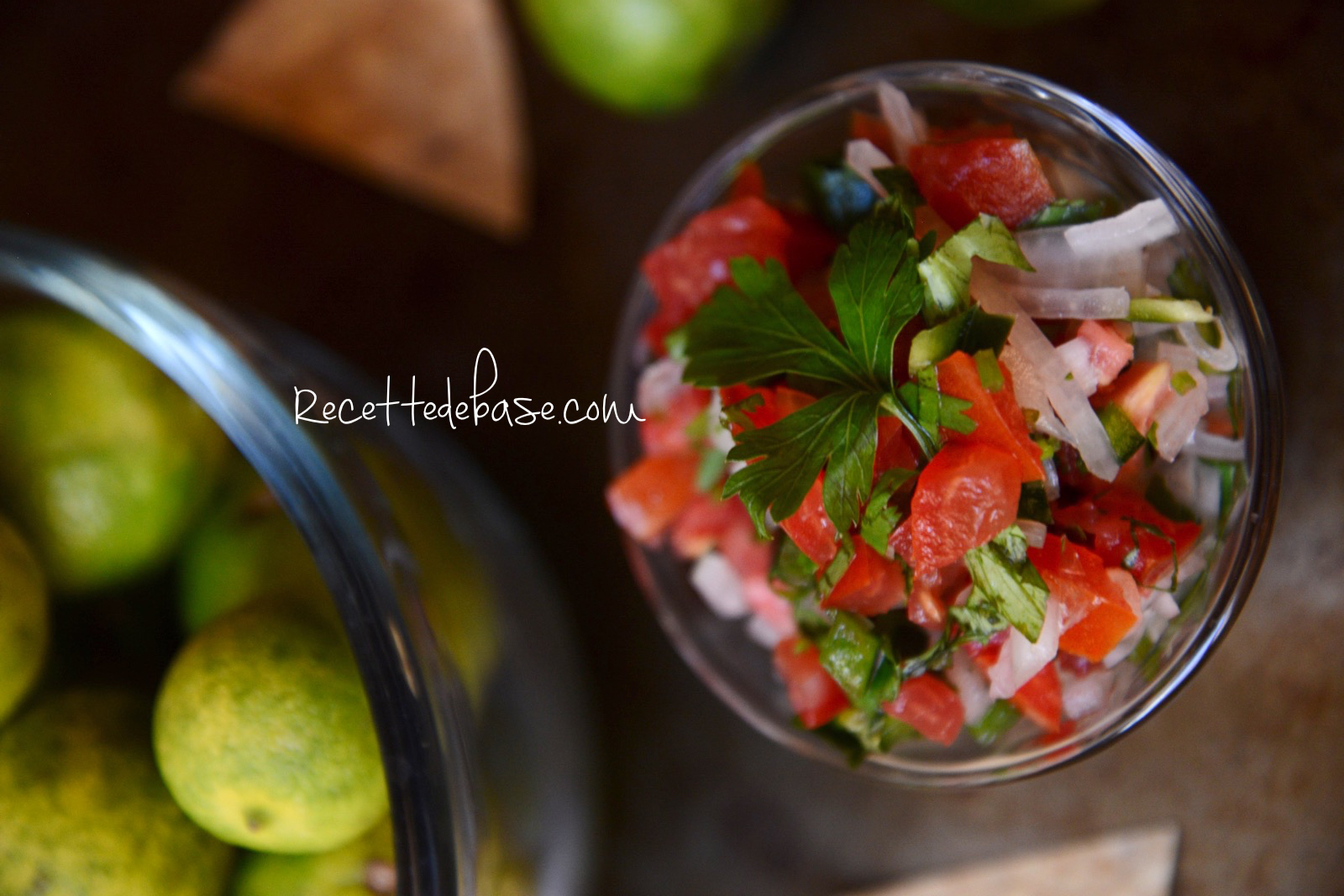 pico_de-Gallo1_TITRE